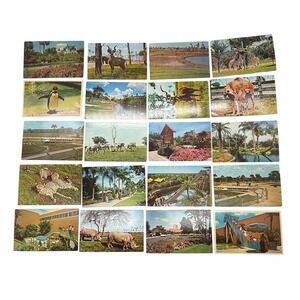 Vintage 60s Busch Gardens Tampa Florida Postcard Lot 20 Animals Attractions MCM